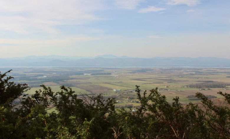 addison s disease causes